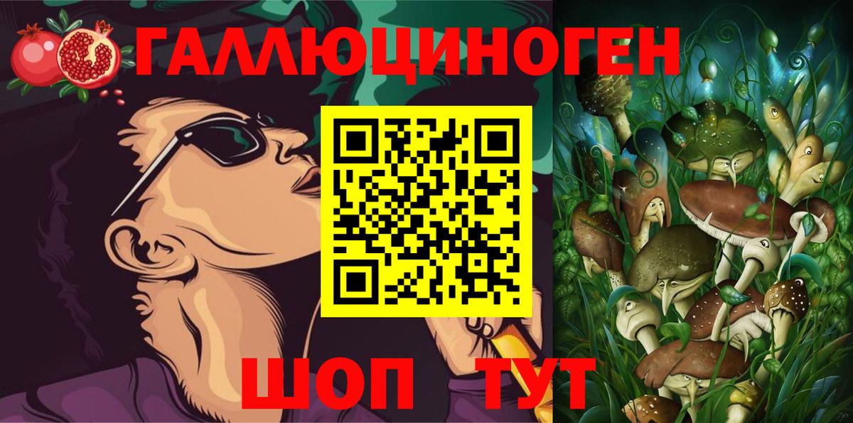 Псилоцибиновые грибы Psilocybe  Вход с VPN  Назрань 