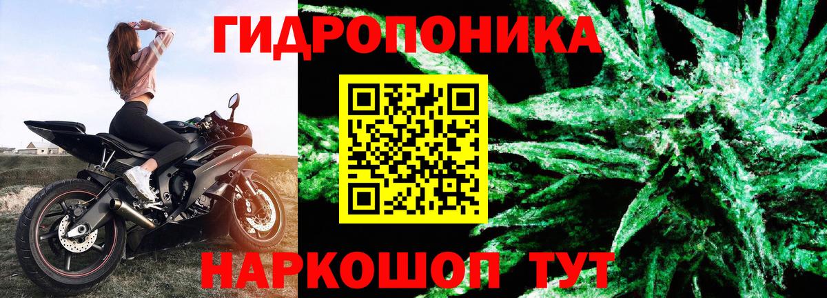 Бошки марихуана Bruce Banner Назрань